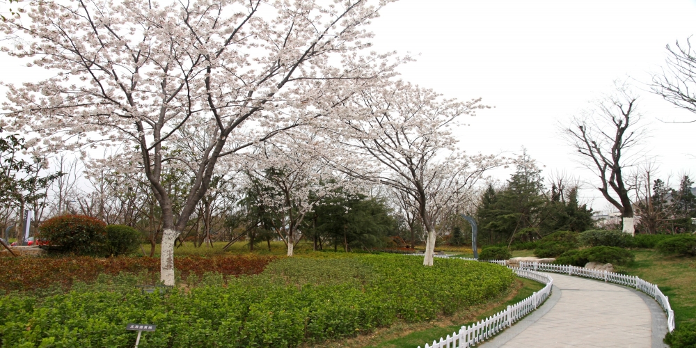 徐州植物園景觀(guān)工程