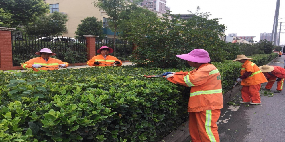 新站區(qū)道路清掃保潔、綠化管養(yǎng)項(xiàng)目